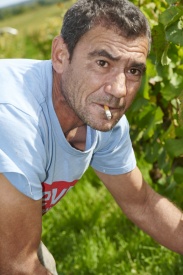 _NZ78091.jpg